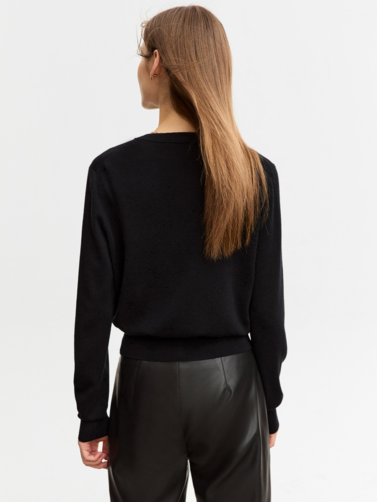 AMII Minimalist Woolly Sweater - огляд і ціна Embroidery Lady Bug