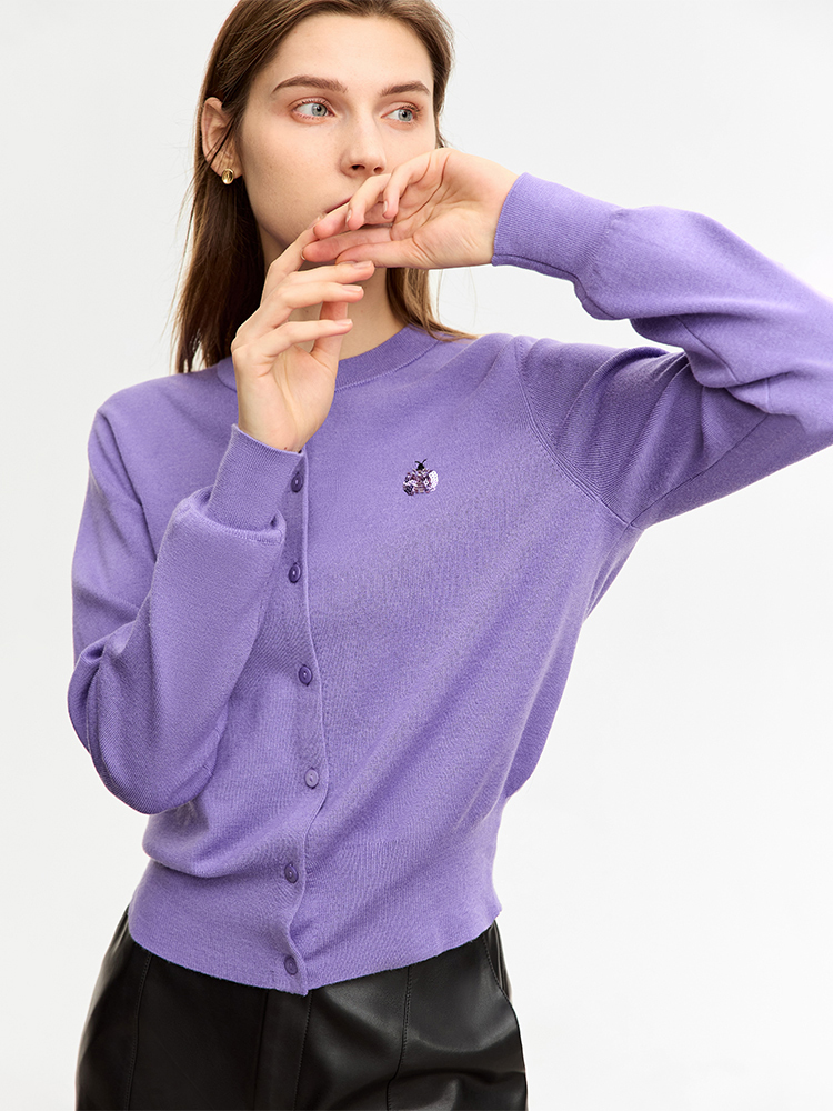 AMII Minimalist Woolly Sweater - огляд і ціна Embroidery Lady Bug