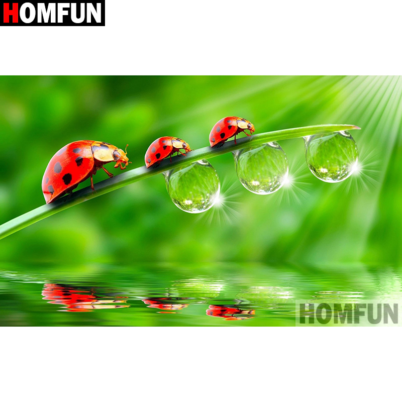 HOMFUN Art 5D Diy Diamond Pain - огляд і ціна Embroidery Lady Bug